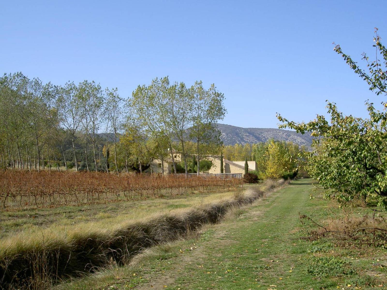 Gite Aux Tournesols Malaucene Exterior photo